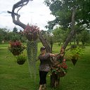 ������� ���������" �������" �� ������� ����� ��� ������������