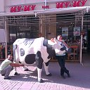 ���� �����, ����������, 54 ���� - ��������� 9 ������ 2013 � ������ ���� ����������