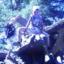 ���� ����, ������, 51 ��� - ��������� 23 �������� 2013 � ������ �������������