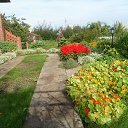 ���� ���������, ���������, 66 ��� - ��������� 13 ������� 2013 � ������ ���� ����