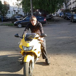 ���� ����, �����-���������, 42 ���� - ��������� 15 ������� 2013