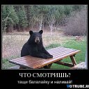 ���� ������, ������, 56 ��� - ��������� 5 ����� 2014 � ������ ���� ����������