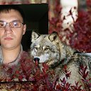 ���� ������, ��������, 36 ��� - ��������� 1 ������ 2013 � ������ ���� ����������