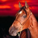   ,   ,
     
  ,   ,
  ,    ,
 ,   ,
 ,   ,
    ,
 ,    !
 ,  , ,
     ,
    ,
     !
   ,
   
    ,
      