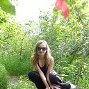 ���� �����, �������������-����������, 38 ��� - ��������� 2 ������� 2013 � ������ ���� ����������