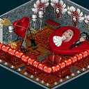 ���� ������, ������, 27 ��� - ��������� 13 ������ 2013 � ������ �Tropikania�