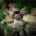  Nata Li Legata,  -  12  2013   ,  )