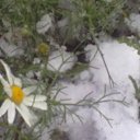 ���� �����, �������, 71 ��� - ��������� 23 ������� 2013