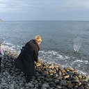   .       -       -.   ,  2013