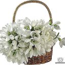 ���� ������, ������, 59 ��� - ��������� 4 ����� 2014 � ������ ������ ��������