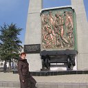  , , 56  -  20  2014   , 