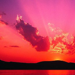 ������, ������ ��������, 39 ���