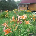 ���� �������, �����-���������, 65 ��� - ��������� 13 ������� 2013 � ������ ���� ����������