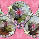 ���� ����, ����-�����������, 41 ��� - ��������� 3 ������� 2014 � ������ ������� ������ � �������� ��������