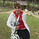 ���� ������, ���������� ���� - ��������� 8 ������� 2013 � ������ ���� ����������