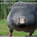 ���� �����, ������, 55 ��� - ��������� 12 ����� 2014 � ������ ������ ��������