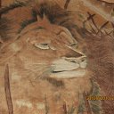  , -, 57  -  20  2013   2013 .