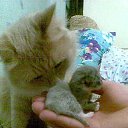 ���� ������, ����� - ��������� 13 ������ 2013 � ������ ���� ������� ������