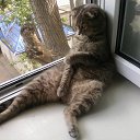 ���� ����, ������, 55 ��� - ��������� 9 ������� 2013