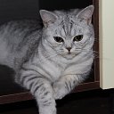 ���� << �����, ���������, 35 ��� - ��������� 2 ������� 2013 � ������ ���� ����������