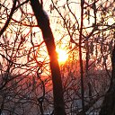 ���� ������, ������ - ��������� 16 ������� 2014 � ������ ���� ����������