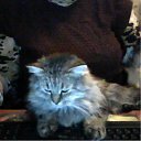 ������� ������ ���������... �� ������� �� � ��� ������