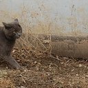 �������,��� �������... �� ������� �����������,���������...�