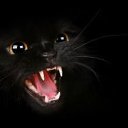 ���� ������, ���������, 60 ��� - ��������� 16 ������� 2013 � ������ ������ ��������