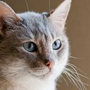 ���� �������, ������ - ��������� 26 ������� 2014 � ������ ���� ����������