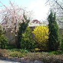 ���� ������ ����, ����, 44 ���� - ��������� 17 ������� 2013 � ������ �������� ������!�