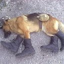 ���� ���������, �����������, 60 ��� - ��������� 18 ������� 2013 � ������ ���� ����������