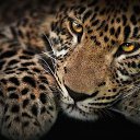 ���� ������, ���������, 46 ��� - ��������� 25 ������ 2014 � ������ ���� ����������