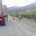 �� ��������� ������ �� ������� �������