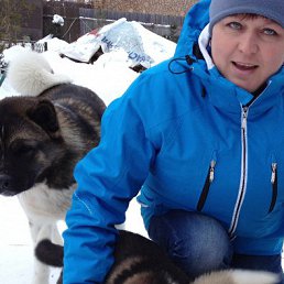 ��������, �����