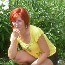 ���� ������, ���������, 49 ��� - ��������� 28 ������ 2013 � ������ ���� ����������