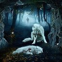   ( - !), , 59  -  19  2013    