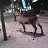 ������� ���� � ���������