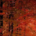 ���� ����, �����������, 60 ��� - ��������� 28 �������� 2013 � ������ ������ ������