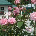 ���� �������, ������, 52 ���� - ��������� 27 ������� 2013 � ������ ���� ����������