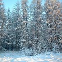 ���� �������, ��������, 61 ��� - ��������� 3 ������ 2014