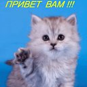 ���� ���, �����, 60 ��� - ��������� 26 ������� 2014