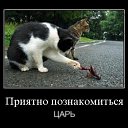 ���� �������, ������������ - ��������� 2 ������� 2014 � ������ ���� ����������