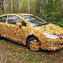 ������� �������� �� ������� �� ���� �� �����