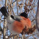 ���� ���������, ������ - ��������� 6 ������� 2013 � ������ ��������