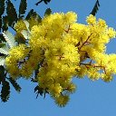 ���� ����, ������, 67 ��� - ��������� 7 ����� 2014 � ������ ������ ��������