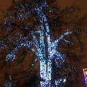 ���� M�����, ������ - ��������� 4 ������ 2014 � ������ ���� ����������