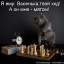 ���� ���� ���� 153, ������, 68 ��� - ��������� 19 ������� 2013 � ������ ������ ��������
