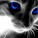 ���� ����c�, ������, 55 ��� - ��������� 17 ������ 2013 � ������ ���� ����������