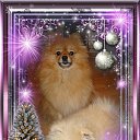 ���� ����, ������� - ��������� 11 ������� 2014 � ������ ���� ����������