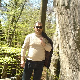 ���� ������, ����, 62 ���� - ��������� 1 ������� 2013